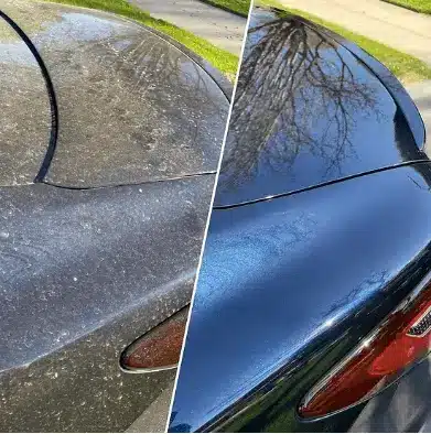 Exterior car detailing before and after Broward County Florida